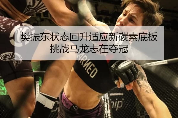 fan-zhen-dong-zhuang-tai-hui-sheng-shi-ying-xin-tan-su-di-ban-tiao-zhan-ma-long-zhi-zai-duo-guan-2-516.jpg