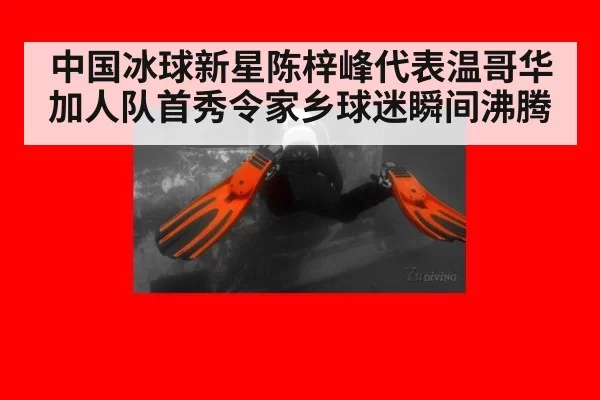 中国冰球新星陈梓峰代表温哥华加人队首秀令家乡球迷瞬间沸腾